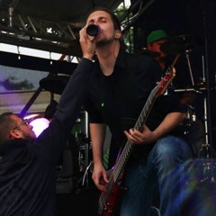 Three Days Grace  - Never Too Late [Bass Cover]