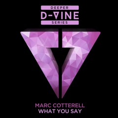 Marc Cotterell - What You Say *OUT NOW*
