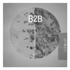 B2B