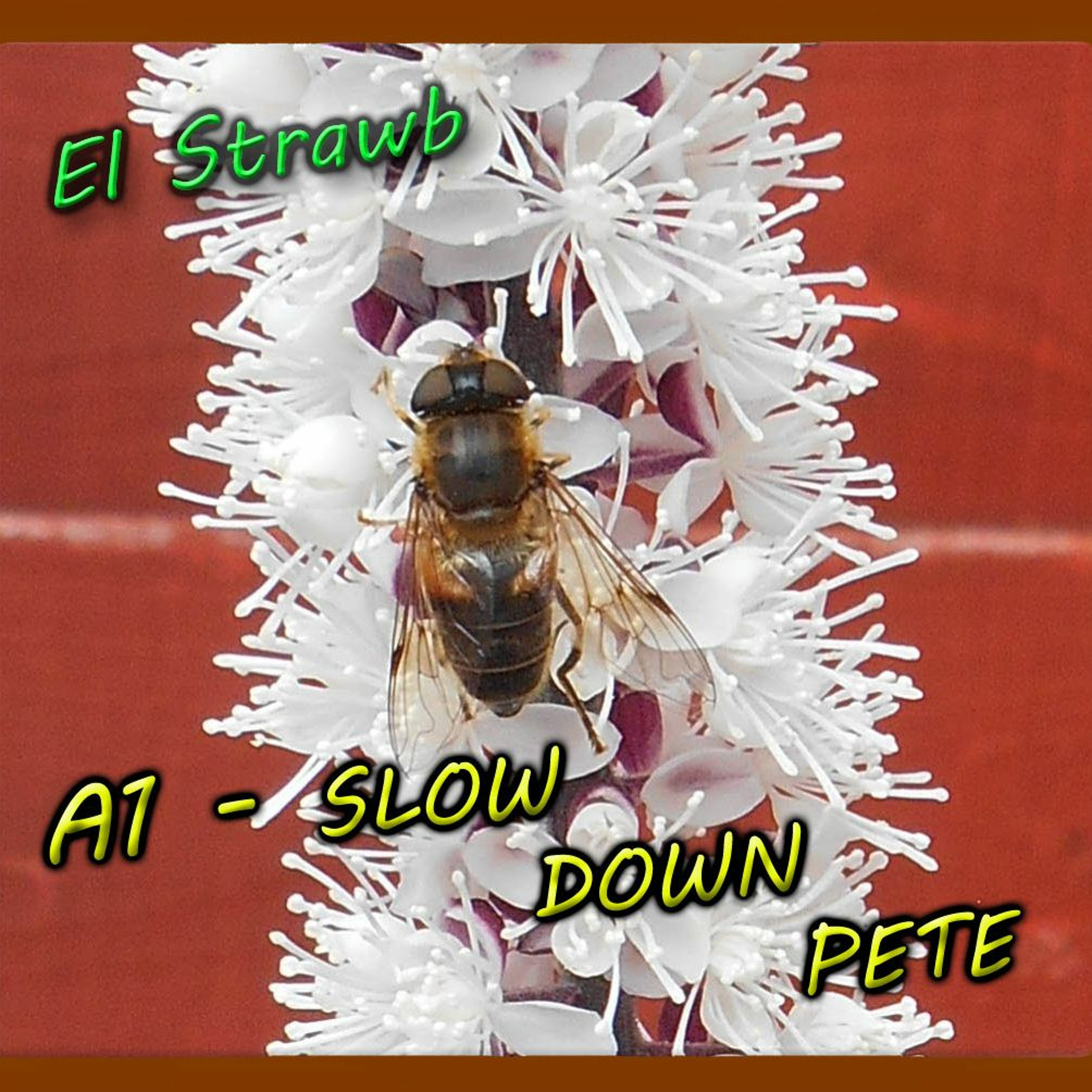El Strawb