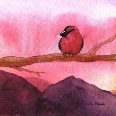 Lonely Bird