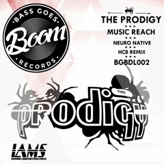 The Prodigy - 2017 Music Reach (Neuro Native Rmx)