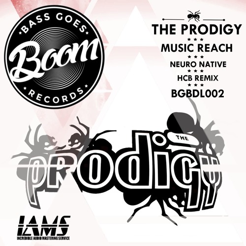 The Prodigy - 2017 Music Reach (Neuro Native Rmx)