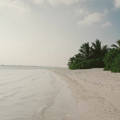 Lacuna