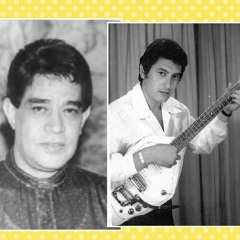 محرم فؤاد .  زي نور الشمس