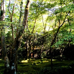 God She's Lovely Though  - #1236  By Chair House 05042017