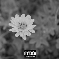 Fall Through [SNIPPET]