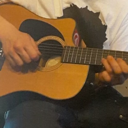 Ain't no use in tryin trampled by turtles acoustic guitar cover