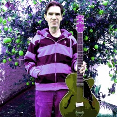 Peerless Guitar Sitar Light   44  16