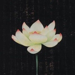 Đông thi - Hứa Đa Quỳ