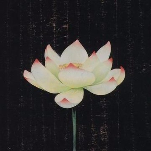 Đông thi - Hứa Đa Quỳ