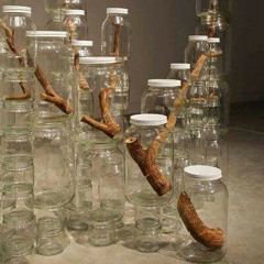 Naturaleza fragmentada