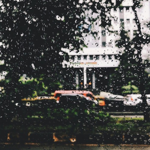 it rained in my world today
