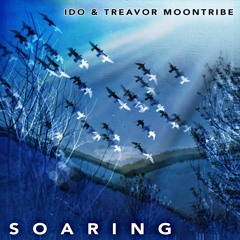 Proton Premiere: Ido & Treavor Moontribe - Soaring [Desert Trax]