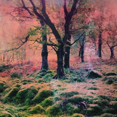 Ocoeur: Visionary Elements