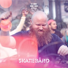 Skatebård @ DGTL Festival 15.04.2017