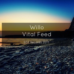 Willo - Vital Feed