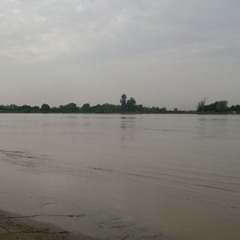 عبدالقيوم الشريف - في الجنان