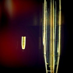 Why Are You Still Here?