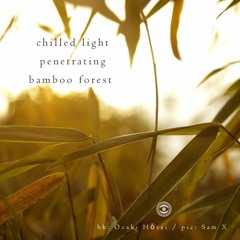 Bamboo Dream (naviarhaiku_174)