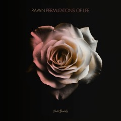Raavn - Permutations of Life (Original Mix)
