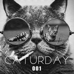 CATURDAY 001 | Courtney Scott