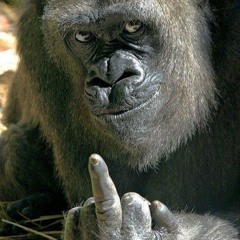 Dont Give A F#%K - R.3.B