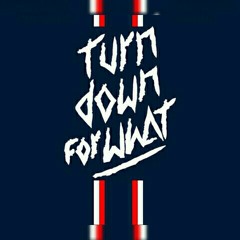 DJ Snake ft. Lil Jon - Turn Down for What (TH & Renan Fernandes Remix).mp3