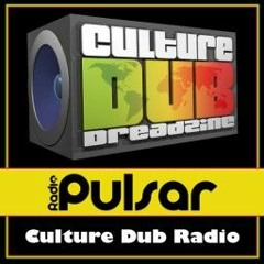 Demain C'est Férié #5 & Bamwise dans "Culture Dub Radio Show" du 25/04/17 sur Radio Pulsar