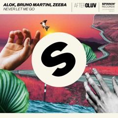 Alok, Bruno Martini, Zeeba - Never Let Me Go [OUT NOW]
