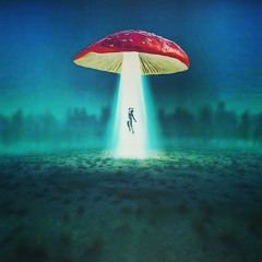Rusko - Everyday (Netsky Remix VIP)