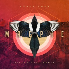 Aaron Cram - Magpie (Niklas Thal Extended Remix)