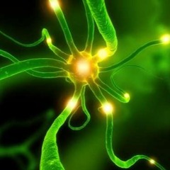 Kinissyk - Affection nerveuse