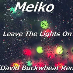 Meiko- Leave The Lights On (David Buckwheat Remix)