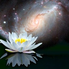 The Golden Lotus Meditation (Breathing Room - Bryan Gates)