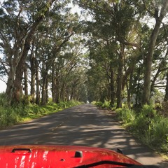 Tycho - Outdoor Stage 2017 - full set