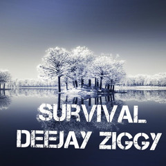 Dj Ziggy Survival