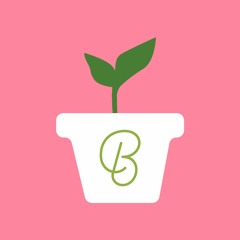 Original Brainstorm Beginner 2