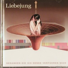 03 - Die Allgemeingültigkeit - Liebejung