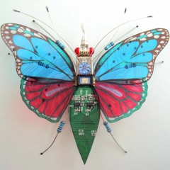 Butterfly (Original Mix)