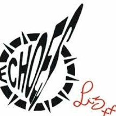 Neverdogs - Live@Echoes Liz