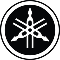 JRG - Mario In The Loonybin [MIDI]