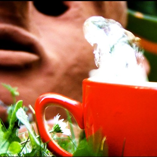 Morning Jar