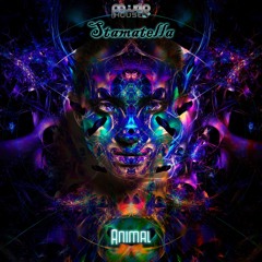 02 - Stamatella - Intensions