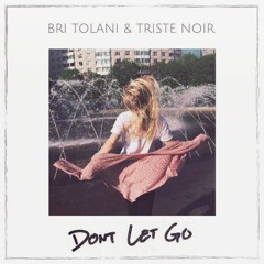 Bri Tolani & Triste Noir - Don't Let Go
