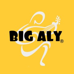 Outkast-Ms. Jackson (dj BIG ALY  deep house Remix 2015)