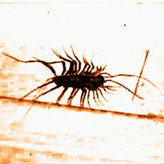 recoil