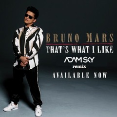 Bruno Mars - Thats What I Like (ADAM SKY Remix)