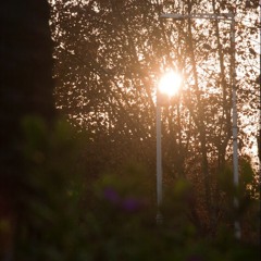 mine (haley blais cover)