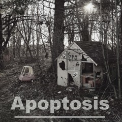 Apoptosis - prod. King Lyon